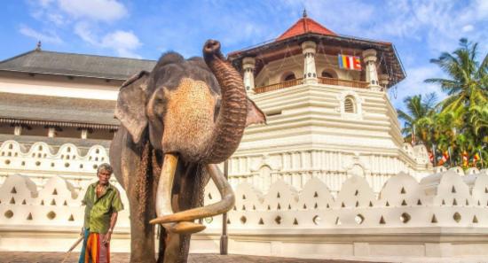 Remains of Nadungamuwa Raja on Display Tomorrow